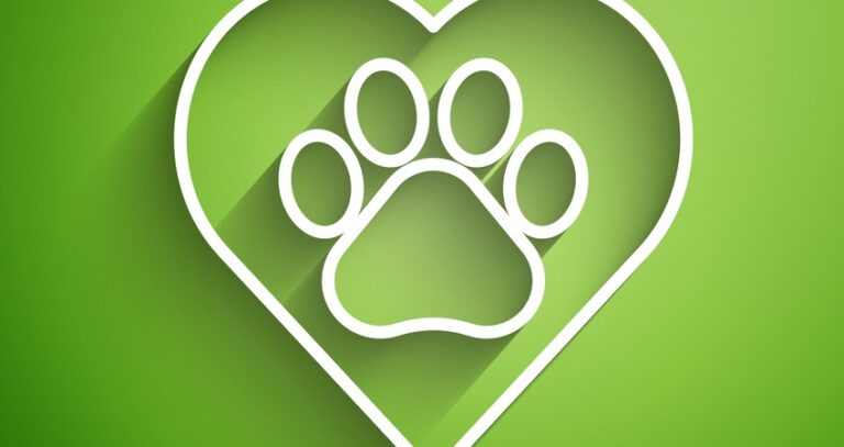 Karlsruhe hat eine ehrenamtliche Tierschutzbeauftragte!