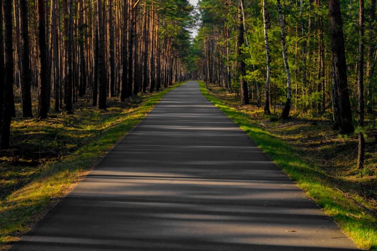 Gute Sicht im Dunkeln auf Radwege im Wald