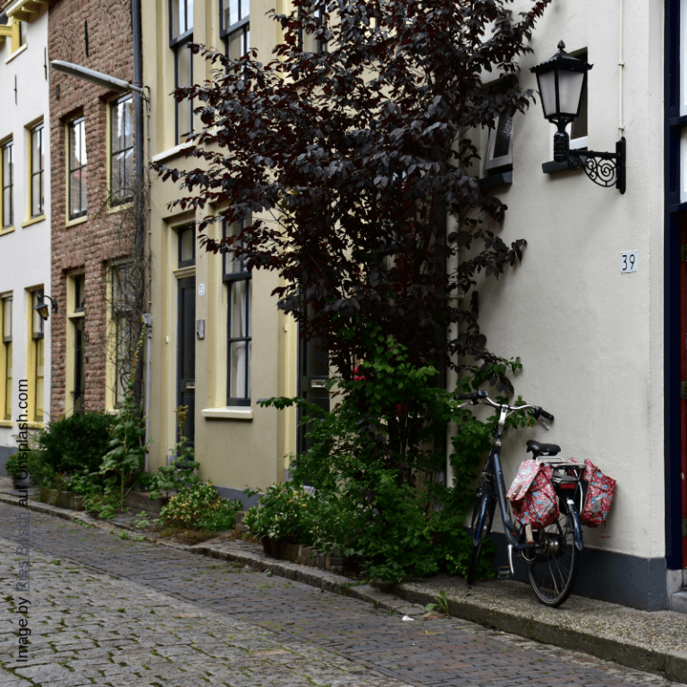 Grüne fordern Ausweitung der Grünsatzung auf das gesamte Karlsruher Stadtgebiet