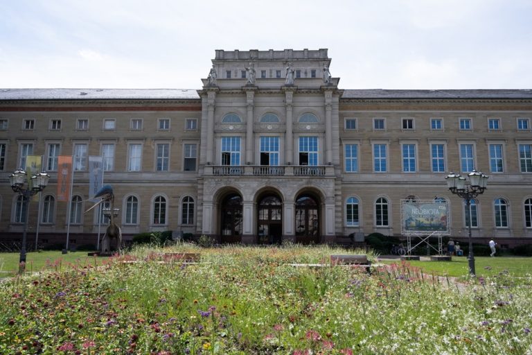 Wettbewerb für die Zukunft des Friedrichsplatzes als innerstädtische Grün- und Ruhezone