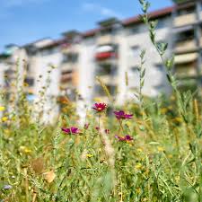 Ergänzungsantrag zu TOP 9.1 der Gemeinderatssitzung am 24.03.2026: Kapitaleinlage bei der Volkswohnung durch Zuführung von städtischen Grundstücken