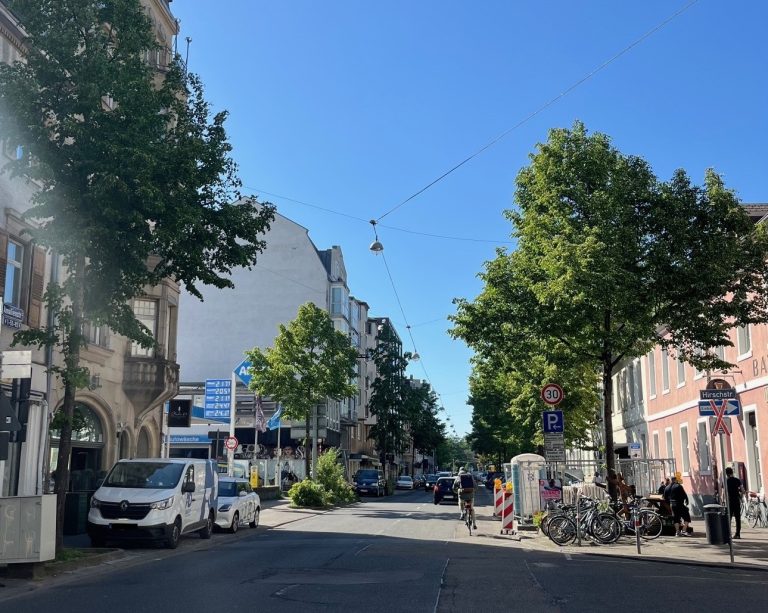GRÜNE fragen nach städtebaulicher und sozialer Aufwertung der Amalienstraße