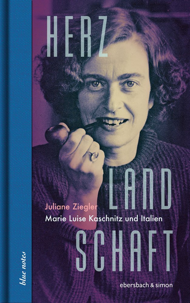 Buchcover: Herzlandschaft